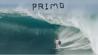 Shane Borland | "PRIMO"