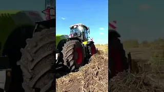 Мощный Claas Xerion 5000 на расчистке