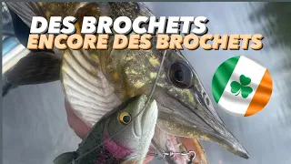 PÊCHER LE BROCHET EN IRLANDE ? LA FOLIE