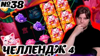 Челлендж belbet 4. 50 вращений по 10! №38 #денежный кот!