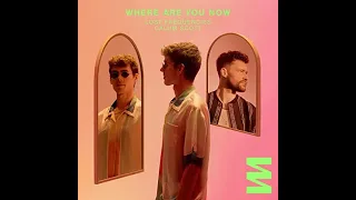 Lost Frequencies ft Calum Scott - Where Are You Now - Extended Mix