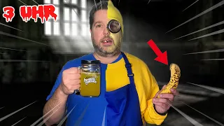 TRINKE niemals MINIONS TRANK um 3 UHR NACHTS vom GRINCH (ICH EINFACH UNVERBESSERLICH) | WOTSIT TV