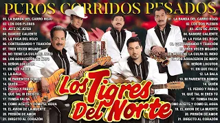 PUROS CORRIDOS PESADOS DE TIGRES DEL NORTE 🔥 LOS TIGRES DEL NORTE CORRIDOS PROHIBIDOS ALBUM COMPLETO