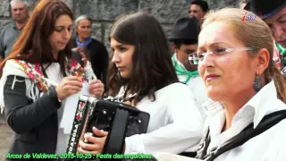 Rusga; Amigos de Oliveira: Festa das orquídeas - Arcos de Valdevez: Rusga.