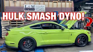 DYNO Results for my Fully BUILT 2020 GT500! *Crazy Power on Big Pulley