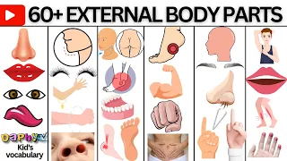Body Parts | Parts of the Body in English | Listen And Practice