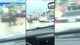Apparent road rage incident recorded in Hialeah