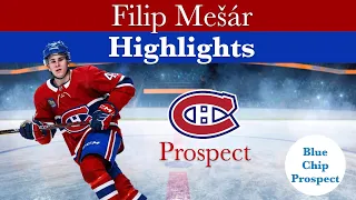 Filip Mešár Highlights / Habs Prospect