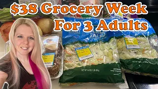 $38 Grocery Haul for 3 Adults • Realistic Budget Cooking • Meal Ideas • December 2023