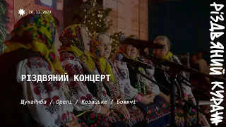 Великий концерт: гурт Божичі, ЩукаРиба, дитячий гурт Орелі, гурт з села Козацьке