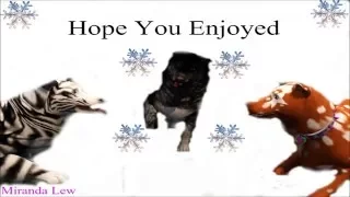 Christmas MEP (Sims 3 Pets) -Complete-