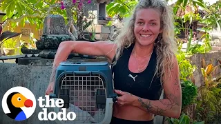 Woman Races To Find Rescue Dog's Puppies | The Dodo