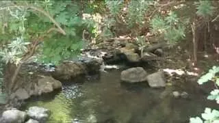 Sierra Mágina. Adelfal de Cuadros. (Framoám5).