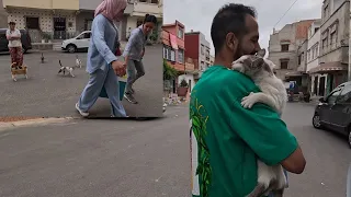 The stray cat always wants to be in your arms.