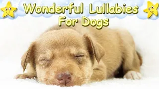 Super Relaxing Sleep Music For Puppies ♫ Calm Relax Your Dog ♥ Lullaby For Dogs Dog Music