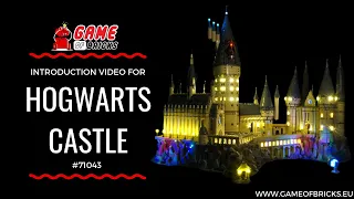 LEGO Hogwarts Castle 71043 Light Kit (Old Design)