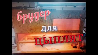 Брудер своими руками. Брудер для цыплят  с автоматикой. Брудер с минимальными затратами.