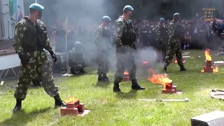 98-я Гвардейская Свирская дивизия. Показательное выступление десантников. Лодейное Поле 2014 г.