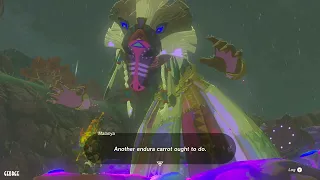 The Legend of Zelda : Tears of the Kingdom - 100% No Damage 43/