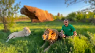 Поздравления нашим большим друзьям в Лондоне-Зейву и Юлечке от Олега Зубкова и льва Чука!