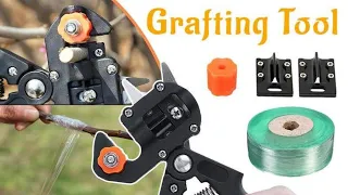 2-in-1 Professional Garden Grafting Tool Kit with Ω, U & V Blade | Multipurpose Gardening Tool