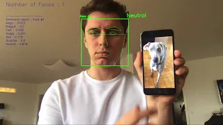 Live Facial Emotion Recognition in Python (with Code)