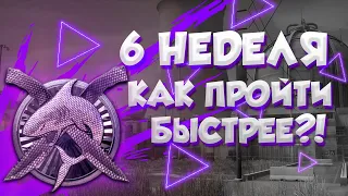 ОБЗОР НА 6 НЕДЕЛЮ ОПЕРАЦИИ ХИЩНЫЕ ВОДЫ! КАК ПРОЙТИ БЫСТРЕЕ?!(CS:GO)