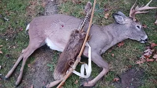 2022 Primitive Bow buck!