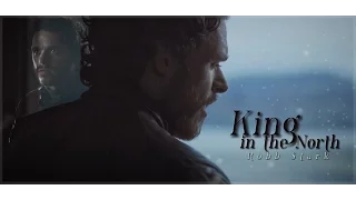 Robb Stark || The King In The North