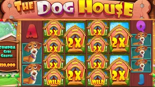 🐶🏠 Big Win in The Dog House Megaways - Bonus Round Bonanza!
