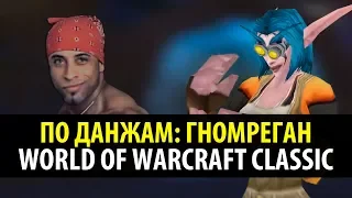 По Данжам ⚙️ Гномреган - WoW Classic