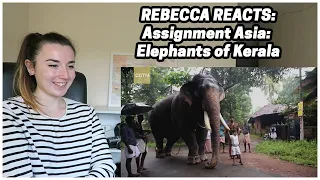 Rebecca Reacts: Assignment Asia: Elephants of Kerala