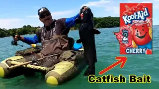 BIG Kool-Aid Chicken Channel Catfish