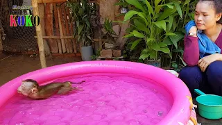Angel Monkey Koko So Happy To Enjoy Bathing & Swimming In New Pool - Koko Smart To Swim