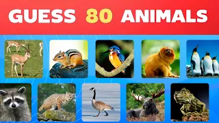 Guess 80 Animals in 3 Seconds | Easy , Medium , Difficult