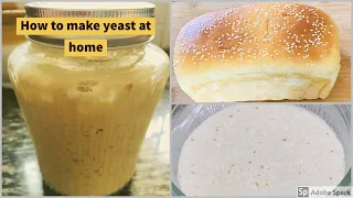How To Make Yeast At Home| How to store and use homemade yeast |An Alternative to Dry/Instant Yeast
