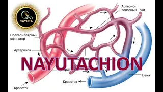 NAYUTA Почему важны чистые капилляры NAYUTACHION