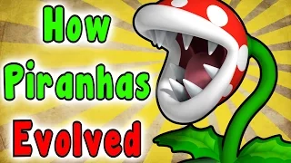 Evolution Of The PIRANHA PLANT (1985 - 2017)