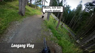 Leogang Bikepark Vlog 2023 | Flow Link, Hotshots, Bongo Bongo | Enduro Nils