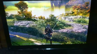 HDR on a Plasma TV! My reshade settings Elden Ring (no spoilers)part 2