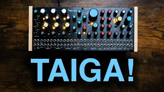 Sonic Explorations with TAIGA from Pittsburgh Modular!