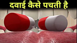 दवाई कैसे पचती हैं - absorption of medicine in hindi