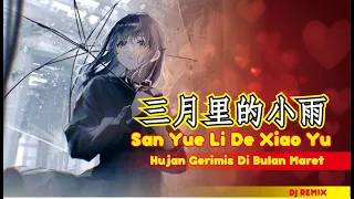 三月裡的小雨 San Yue Li De Xiao Yu (Remix)2021