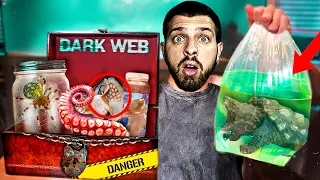 Αγόρασα ένα ΚΟΥΤΙ από το DARK WEB!#5 (ΑΞΙΑΣ 1000€) | Giannakopoulos