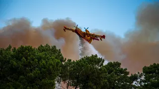 Incendie forêt du Pignada 30/07/2020,