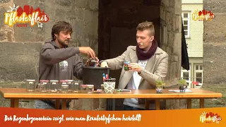 Regenbogen Kräutertöpfchen | Pflasterfair: Die Erlebnis.Alsfeld TV-Show