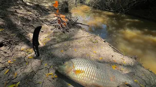 BOGAS,BAGRES,ARROYITO “Pesca y Exploración”Naturaleza,Campo,Carnadas y aventura