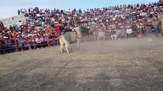 ROMPE ILUCIONES VS NONO DE SAN JUAN"RANCHO LOS DESTRUCTORES EN LA NORIA GUANAJUATO 2018