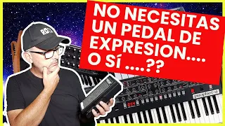 ⚠️ Antes de comprar un pedal de expresión para teclado mira esto..... ⚠️