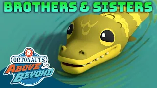 Octonauts: Above & Beyond - Little Brothers and Sisters | Compilation |  @Octonauts​